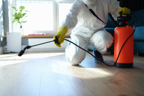 Reliable Odor Removal contractor in Garden City, ID by Trauma Clean Pros